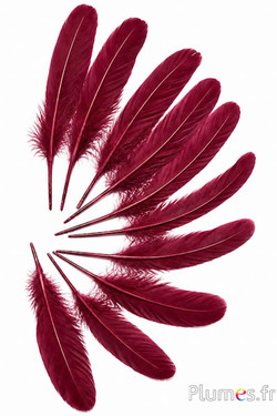 Gans - 15-21 cm - bordeaux